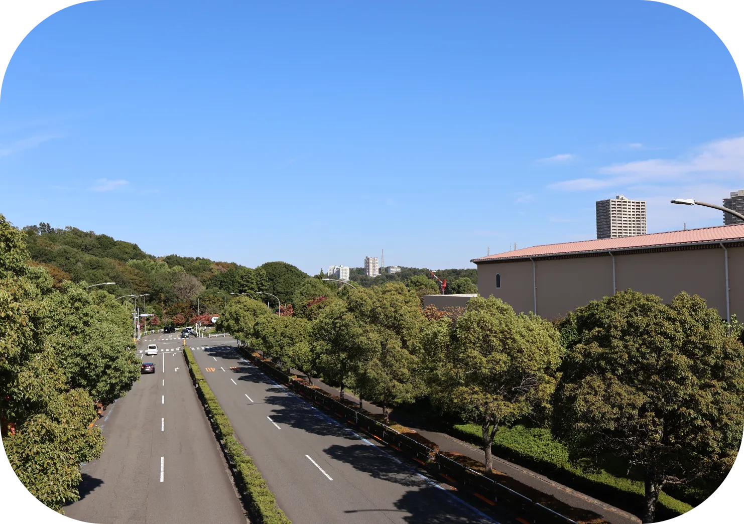 南大沢市写真